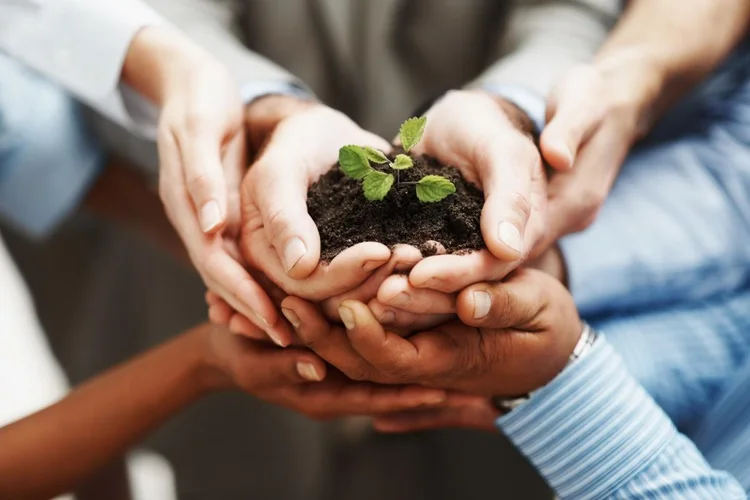 Donor Advised Funds: An Overview